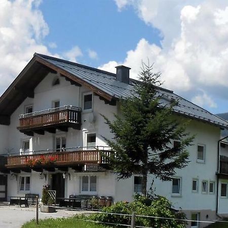 Ferienhaus Dankl Hollersbach im Pinzgau Exterior photo